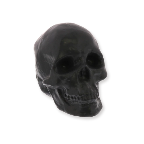 Matte Black Ceramic Skull