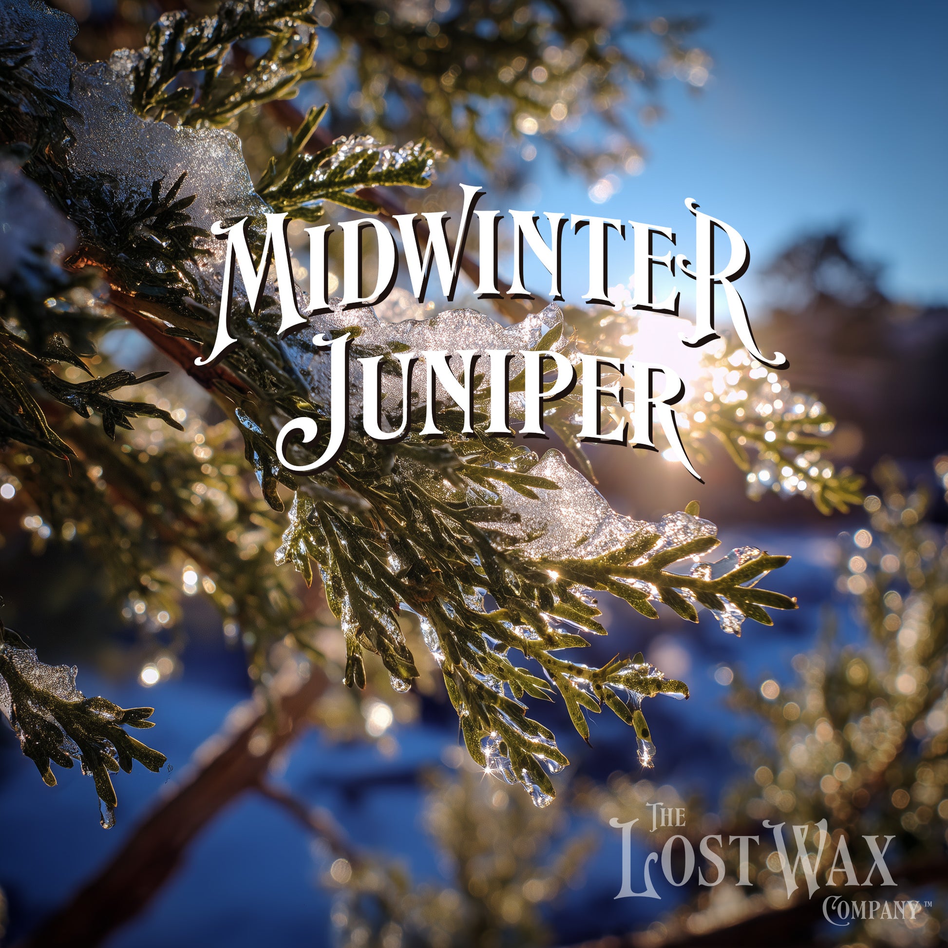 Snow-covered juniper branches with a blurred background and 'The Lost Wax Company' logo.