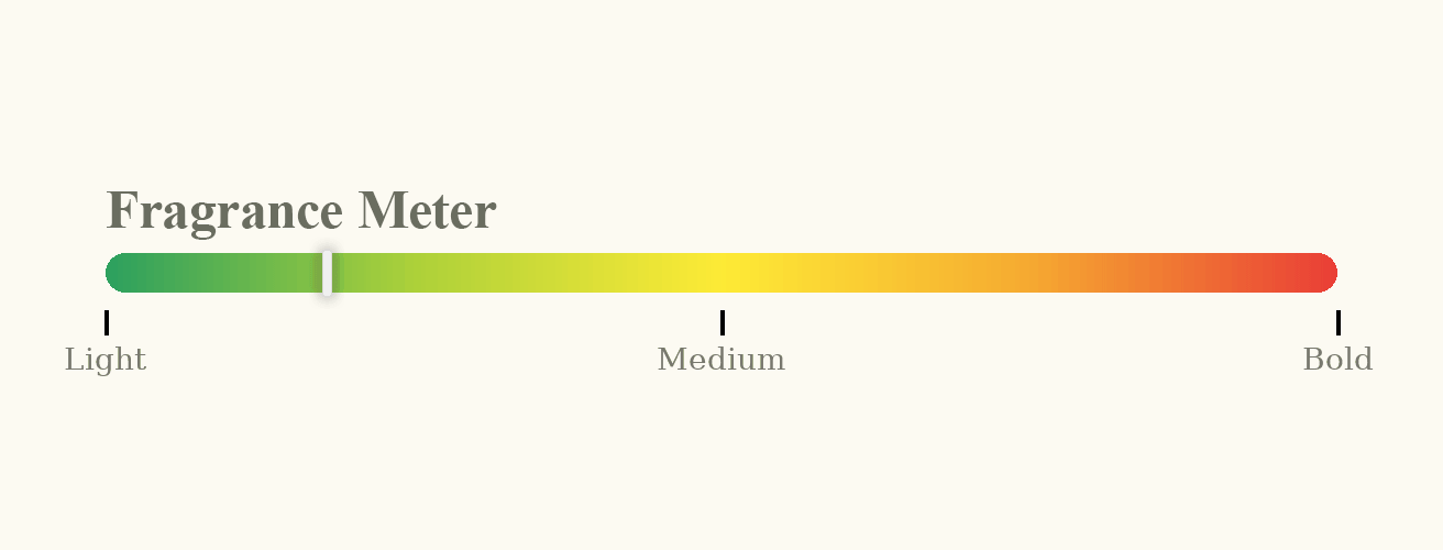 Understanding the Fragrance Meter – The Lost Wax Company