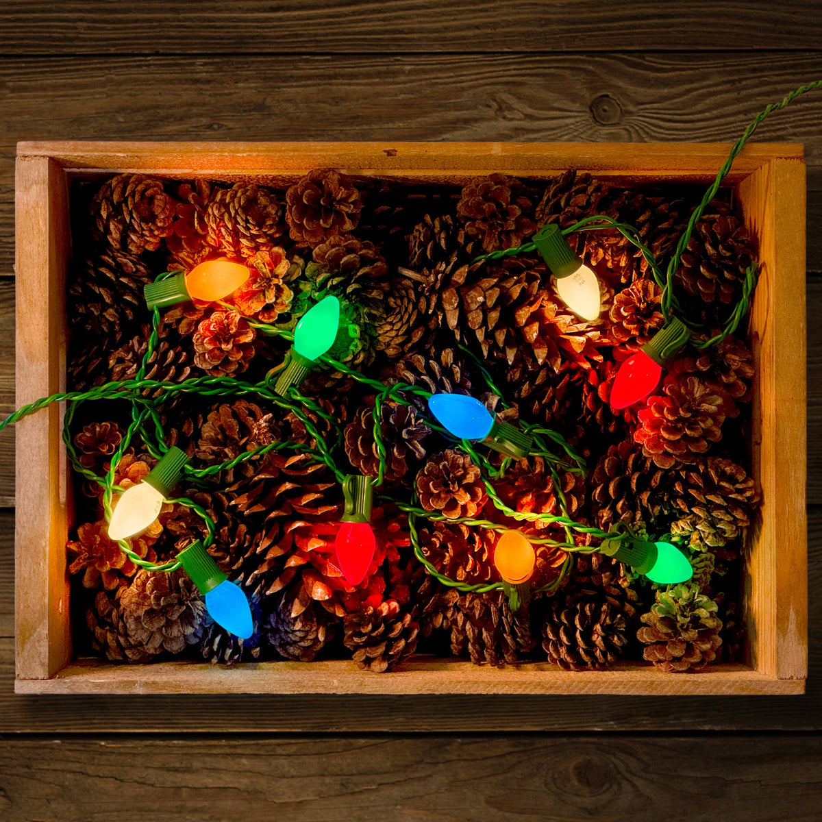 Vintage Style LED Christmas Lights - C7 10-Light Set