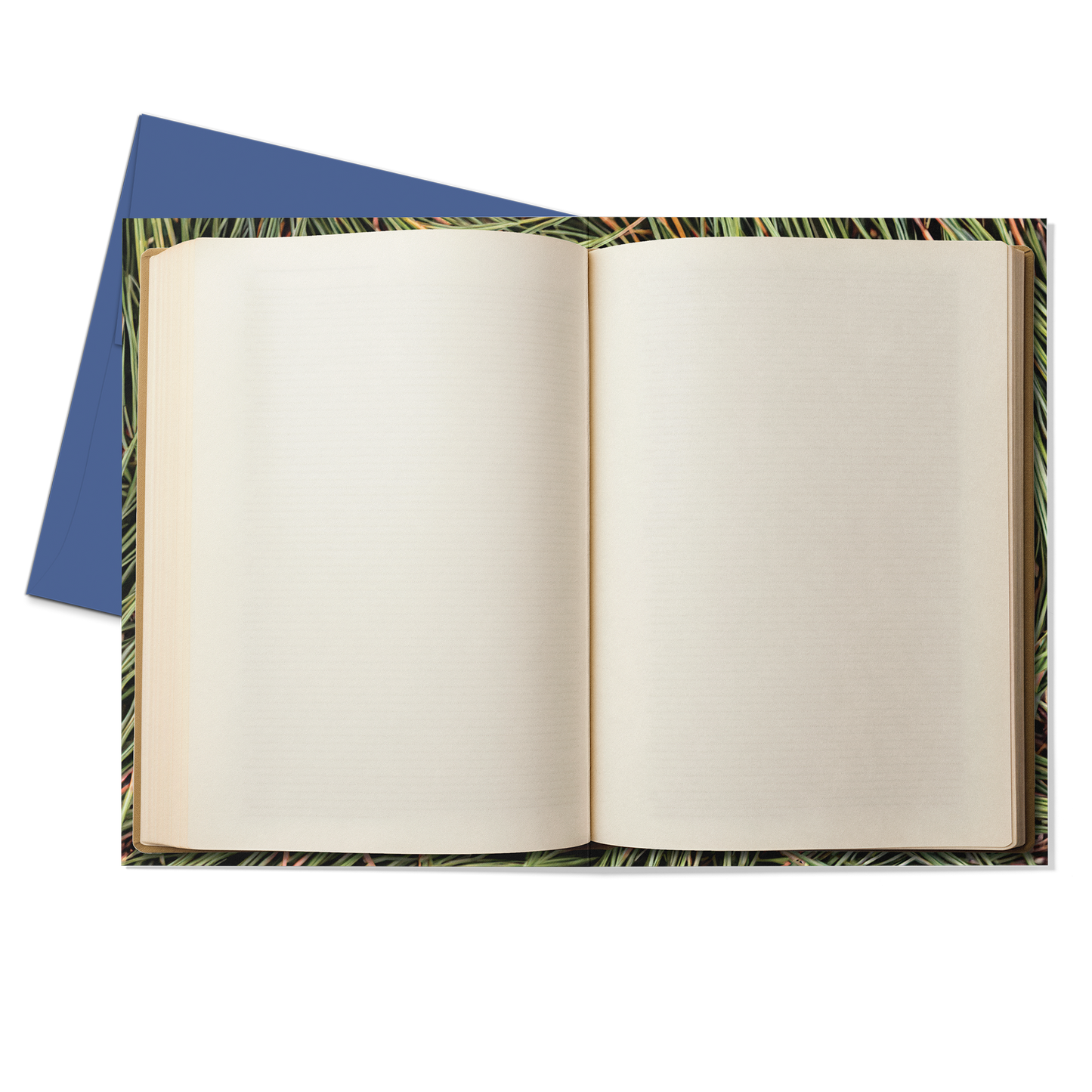 Campfire Confessions Greeting Card (Blank Inside) with Blue Envelope - Studio Ten Design