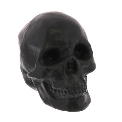 Black skull-shaped object on a white background