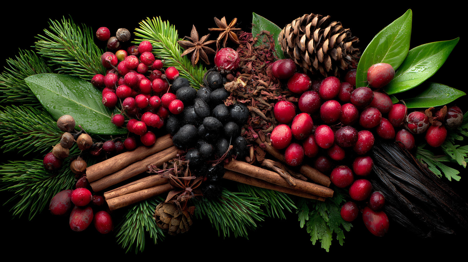 Decorative arrangement of berries, cinnamon sticks, and pine cones on a black background