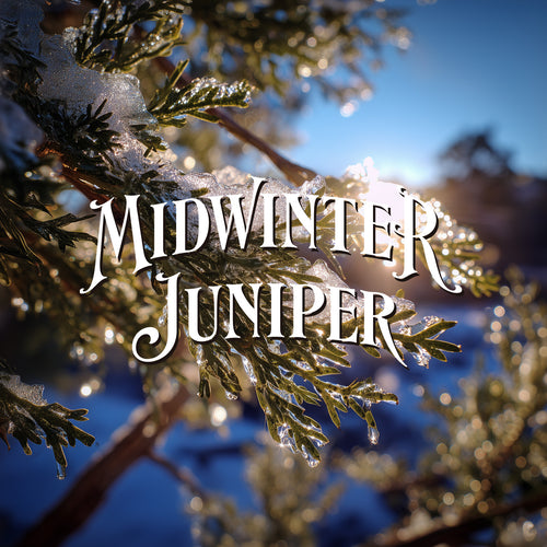 Midwinter Juniper