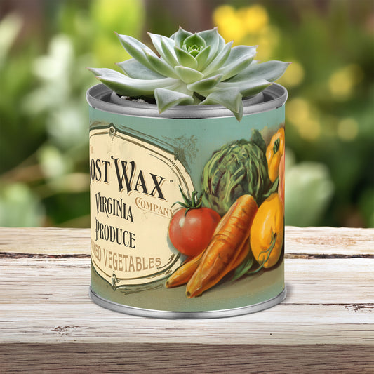 Succulent plant in a decorative can with vintage produce label design.