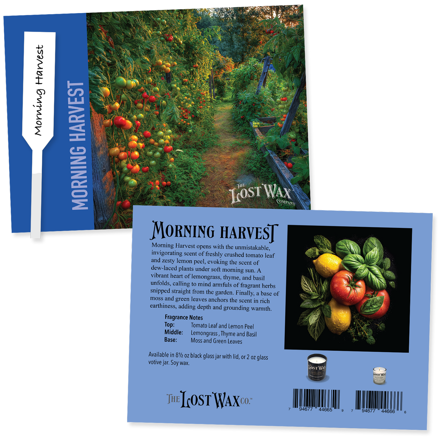 Fragrance Sample card for 'Morning Harvest' with garden scene and product details.
