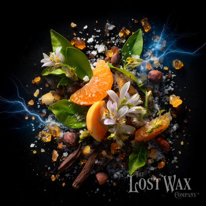 Coastal Calm ingredients including orange, green leaves, sea salt, amber, and ozone.